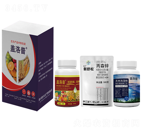 �ײͰ�-�w����-�κ��r�I