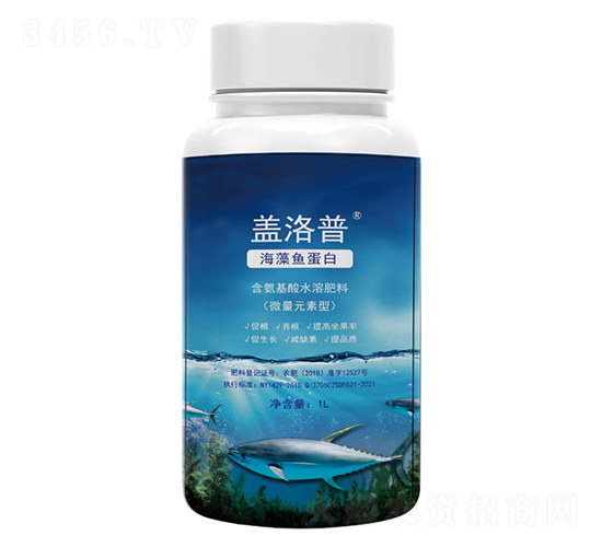 �����~����-�w����-�κ��r�I