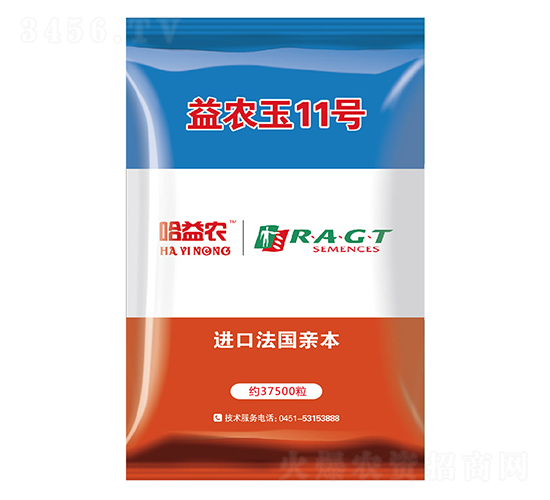 益農玉11號-玉米種子-益農種業