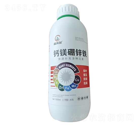 �}�V���\�F-���֠�-�֠��r�I