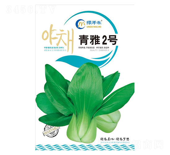 青雅2號-青菜種子-綠洋禾