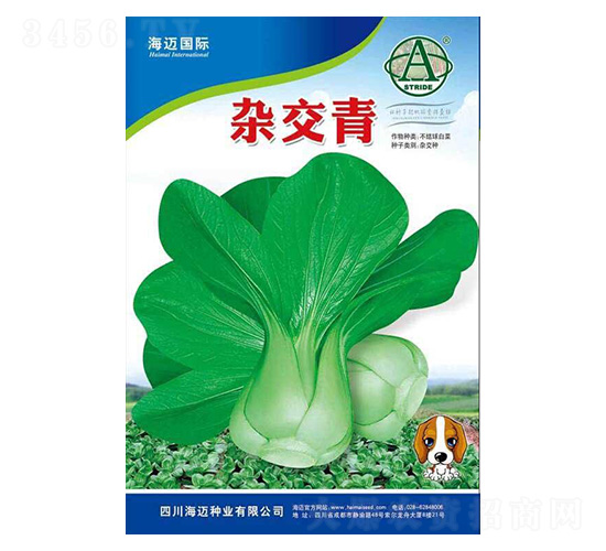 雜交青-小青菜種子-海邁國際