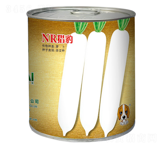 NR�C��-���}���N��-���~���H