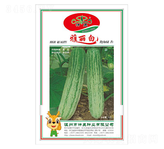 ������-�S�ϷN��-��¹�N�I