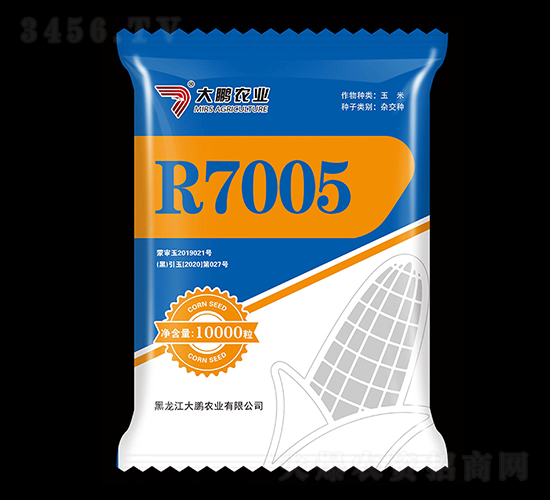 R7005-玉米種子-大鵬農業