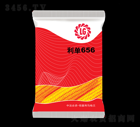 利單656-玉米種子-大鵬農業
