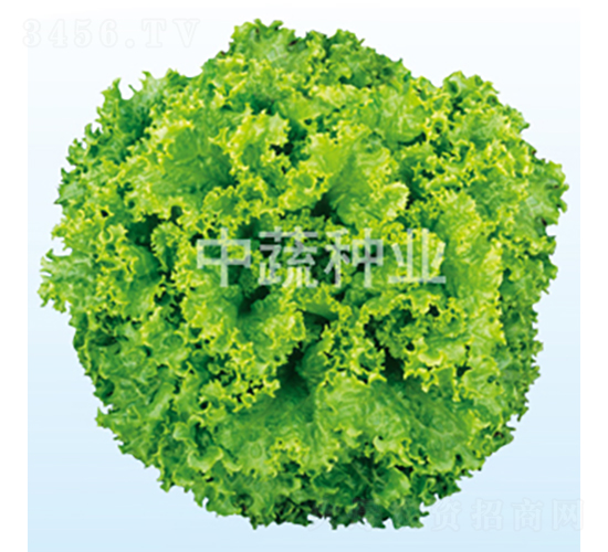 ������-���˷N��-���߷N�I