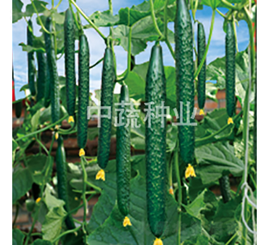 ���r(n��ng)46-�S�ϷN��-���߷N�I(y��)