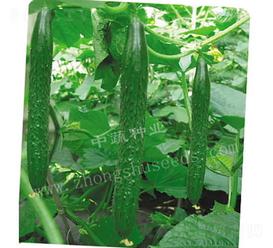 ���r(n��ng)16̖(h��o)-�S�ϷN��-���߷N�I(y��)