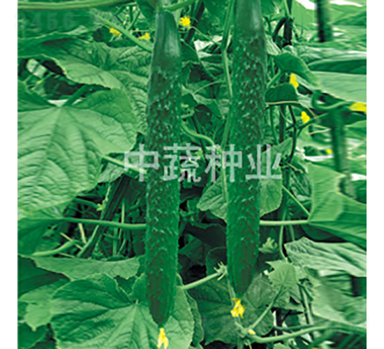 ���r128̖-�S�ϷN��-���߷N�I