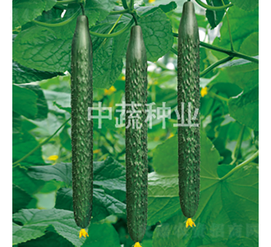 ���r37-�S�ϷN��-���߷N�I