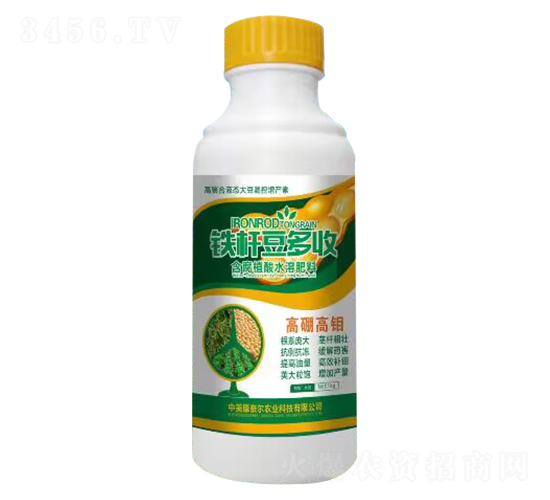 �F�U������-�����S-���Π�