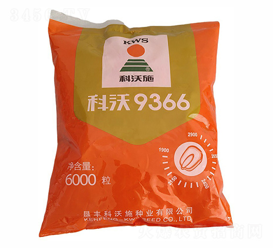 ����9366���׷N��-����ʩ-����r�I