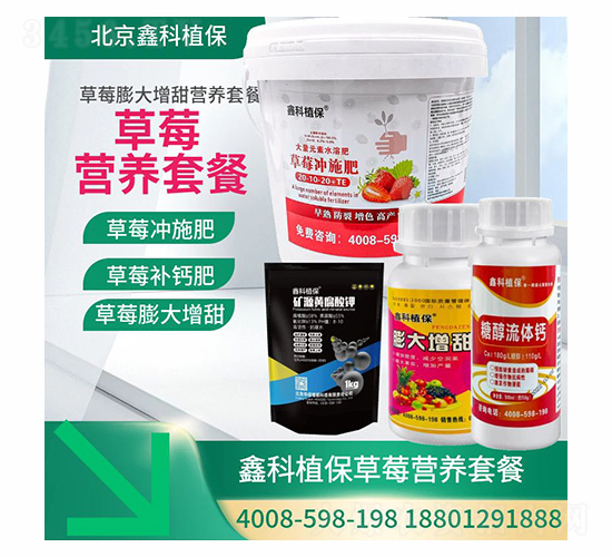 ��ݮ�������I�B�ײ�-�ο�ֲ��