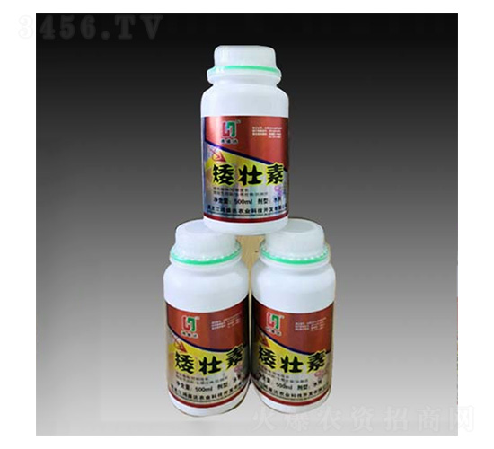 ������-��ʢ�_