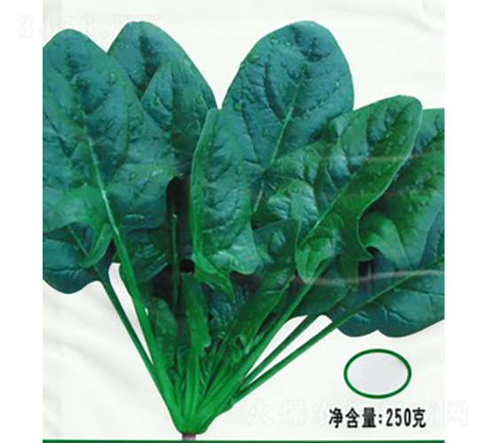 �½���K������-���˷N��-�V��