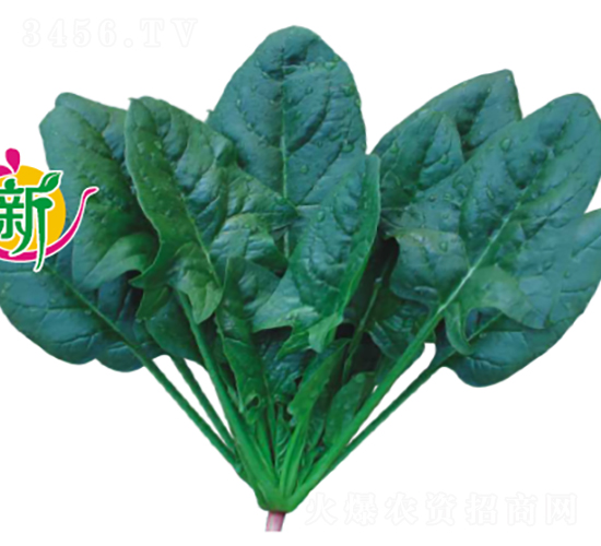 ������M������-���˷N��-�V��