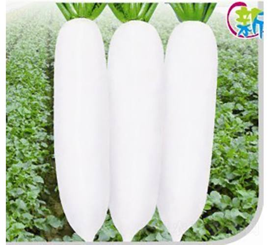 �´��}����3A��-�}���N��-�V��