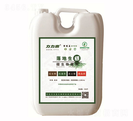 ΢�������-�������-����������