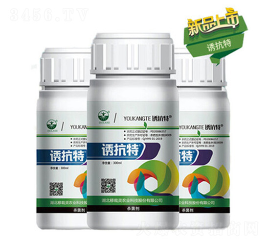 �T����-�����`�r�I