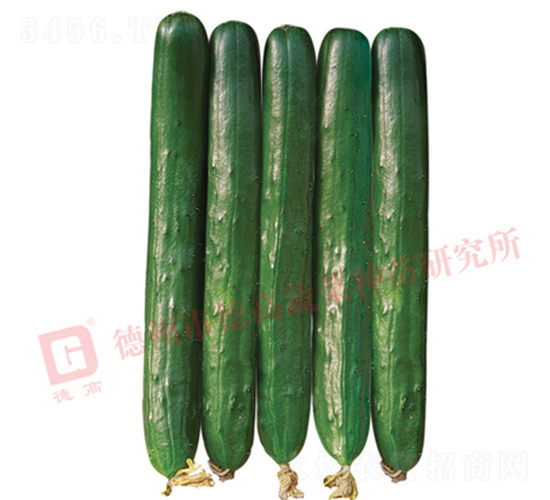 �¸��A���S��-�S�ϷN��-�¸߷N�I(y��)