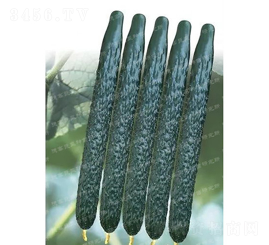 �¸�C57�S��-�S�ϷN��-�¸߷N�I