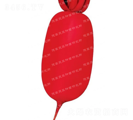 �tƤ�}��-�׼t-�}���N��-�¸߷N�I