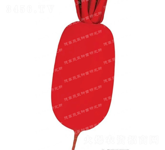 �tƤ�}��-��t-�}���N��-�¸߷N�I