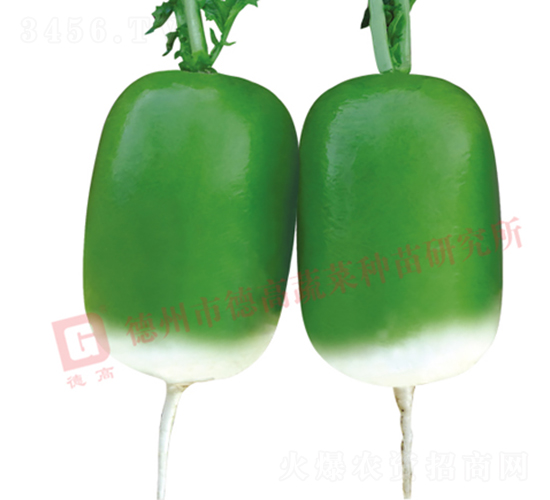 �S�GƤ�}��-����-�}���N��-�¸߷N�I