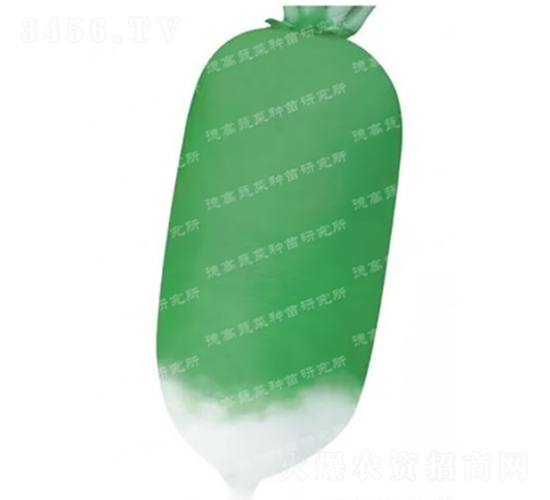 �S�GƤ�}��-�R�ɲ��}-�}���N��-�¸߷N�I