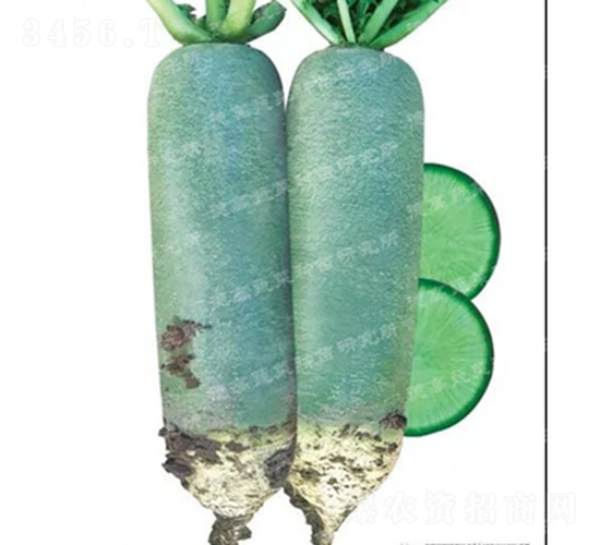 ˮ���}��-����-�}���N��-�¸߷N�I