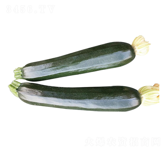 ����-�����J�N��-�c�l��ʢ