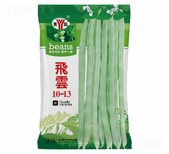 �w�10-13-�Z���_