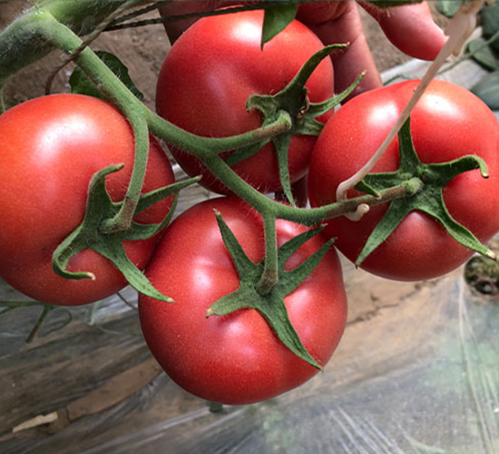 �_��-���ѷN��-����