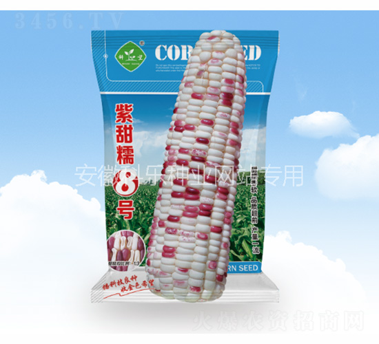 紫甜糯8號-科樂種業