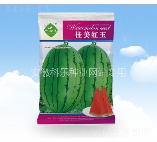 佳美紅玉-科樂種業