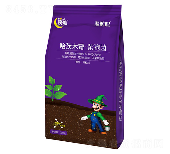 ����ľù�����߾�-ħ����-ħ������