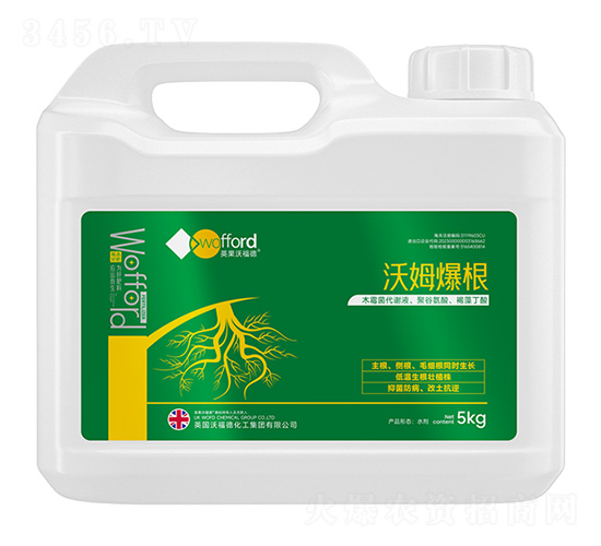 沃姆爆根-沃姆康