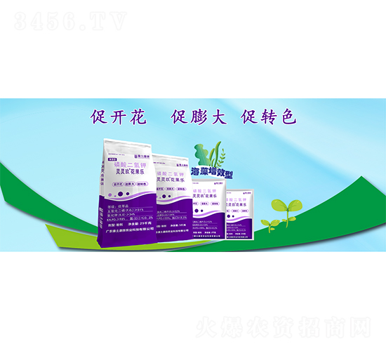 �`�`����������-��������