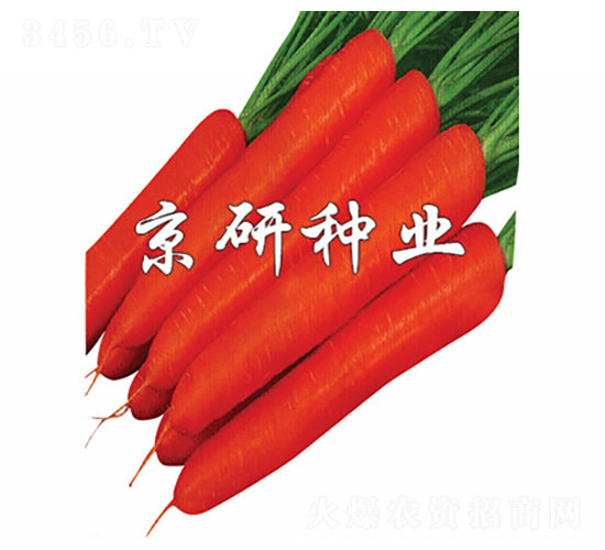 �����tо�ߴ�-���}���N��-���зN�I