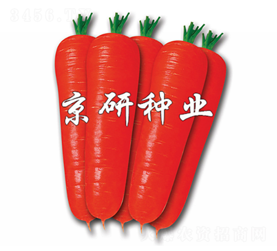 �tо90-���}���N��-���зN�I