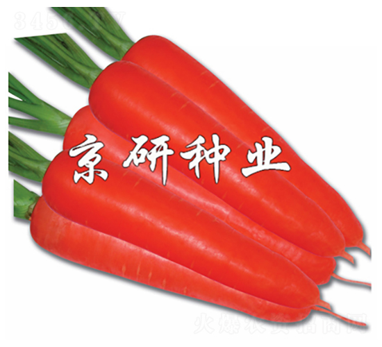 �tо105-���}���N��-���зN�I