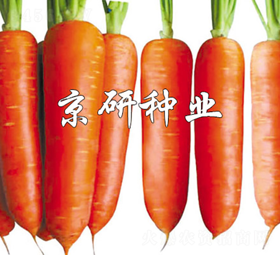 �A�u208-���}���N��-���зN�I