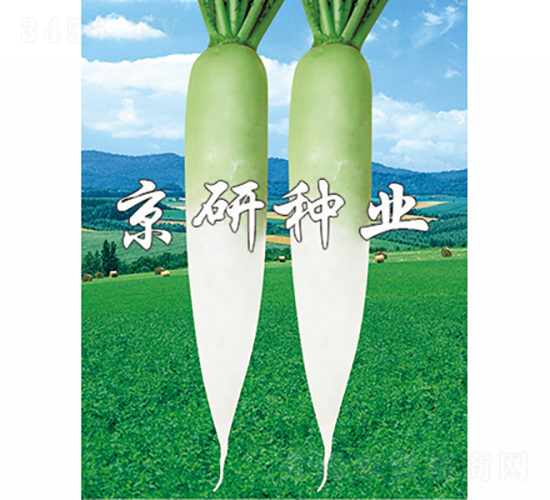 ����2̖-�}���N��-���зN�I