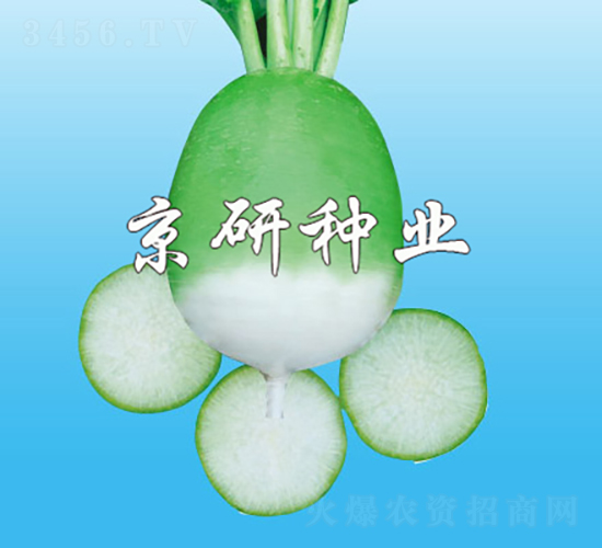 ����1̖-�}���N��-���зN�I