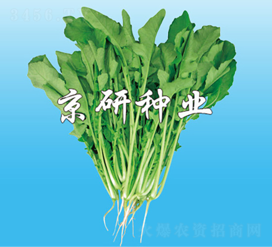 �����~���}��-�}���N��-���зN�I