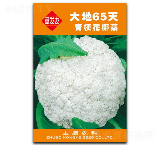 ���65��-��Ҭ�˷N��-�Ƞ�