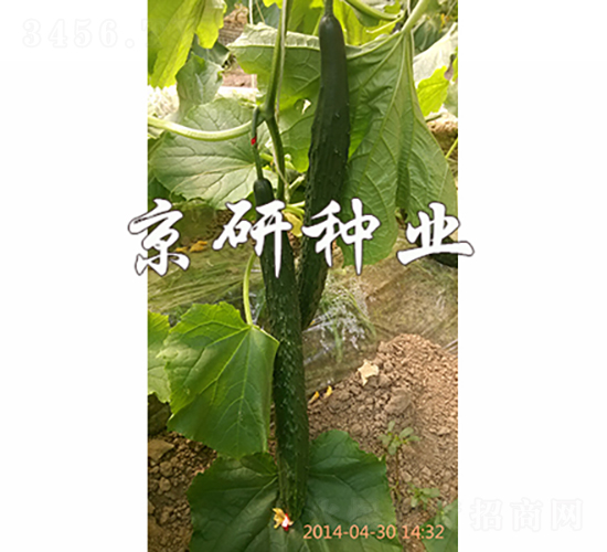 ���S16-�S�ϷN��-���зN�I(y��)