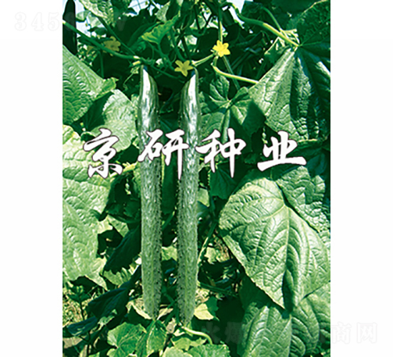 ����403-�S�ϷN��-���зN�I