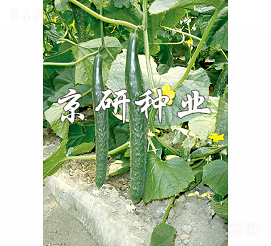 ������401-�S�ϷN��-���зN�I